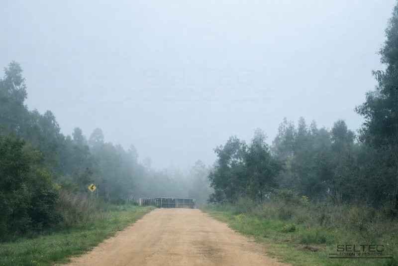 Parcela 10.000 M2 Comuna de Navidad.
