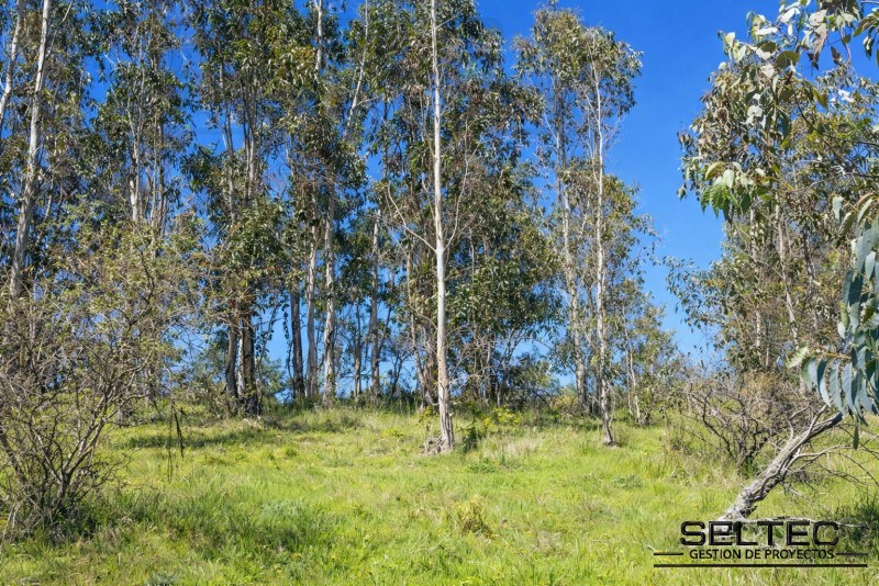 Parcela 10.000 M2 Comuna de Navidad.