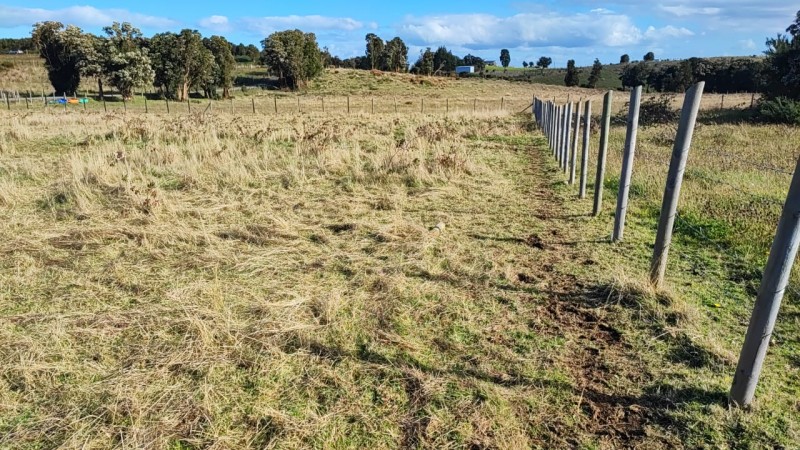 Se Vende Terreno 5000 Chullec Isla Quinchao