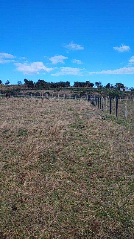 Se Vende Terreno 5000 Chullec Isla Quinchao