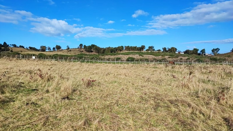 Se Vende Terreno 5000 Chullec Isla Quinchao