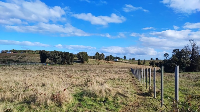 Se Vende Terreno 5000 Chullec Isla Quinchao