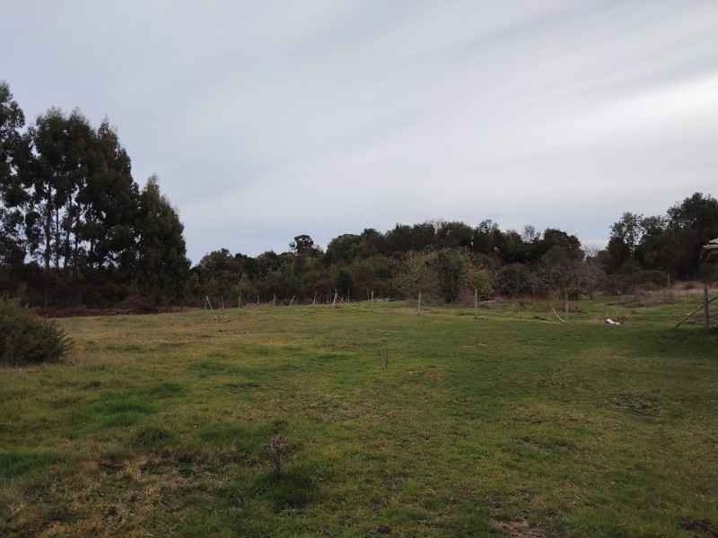 Se Vende 1 Hectárea Km 8 Curaco de Vélez-Chiloé A Pasos Ruta