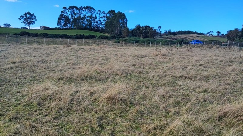 Se Vende Terreno 5000 Chullec Isla Quinchao