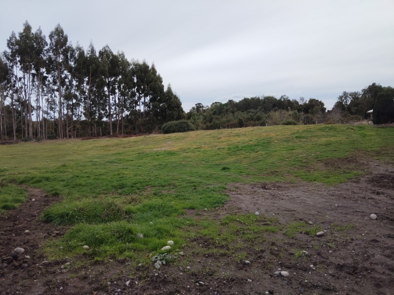 Se Vende 1 Hectárea Km 8 Curaco de Vélez-Chiloé A Pasos Ruta