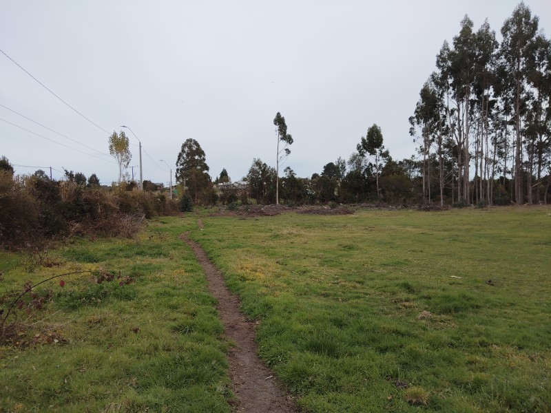 Se Vende 1 Hectárea Km 8 Curaco de Vélez-Chiloé A Pasos Ruta