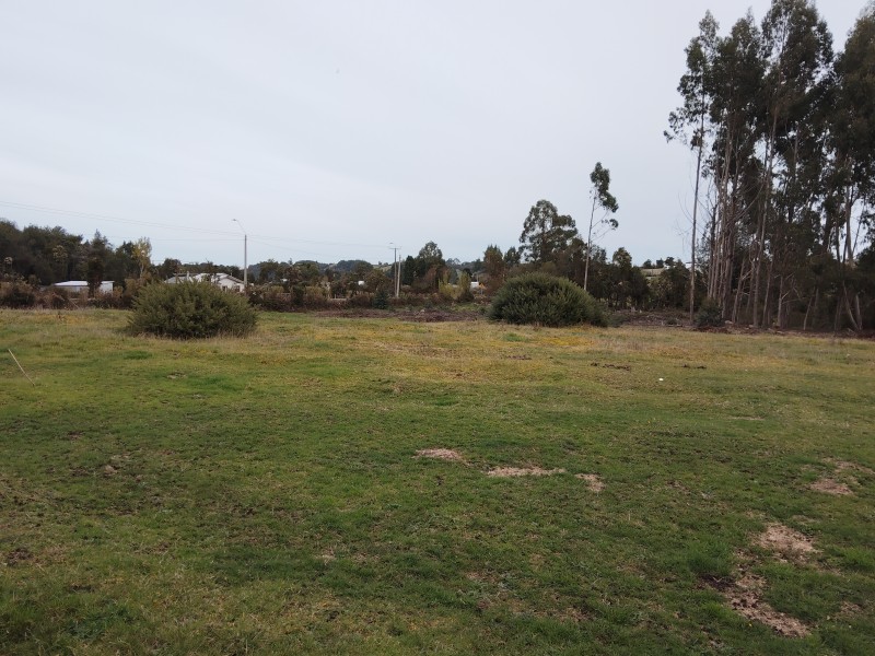 Se Vende 1 Hectárea Km 8 Curaco de Vélez-Chiloé A Pasos Ruta