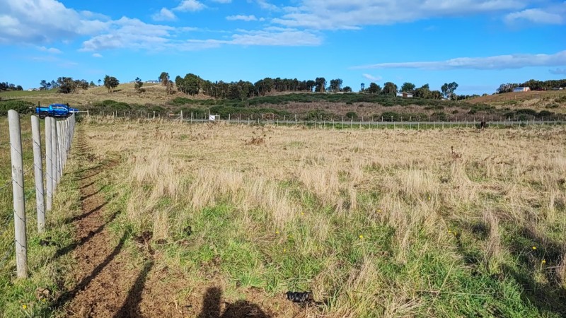 Se Vende Terreno 5000 Chullec Isla Quinchao