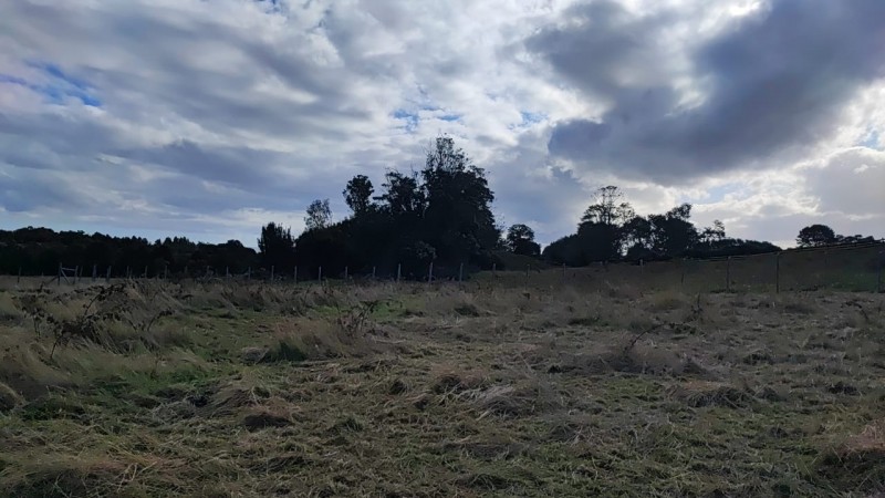 Se Vende Terreno 5000 Chullec Isla Quinchao