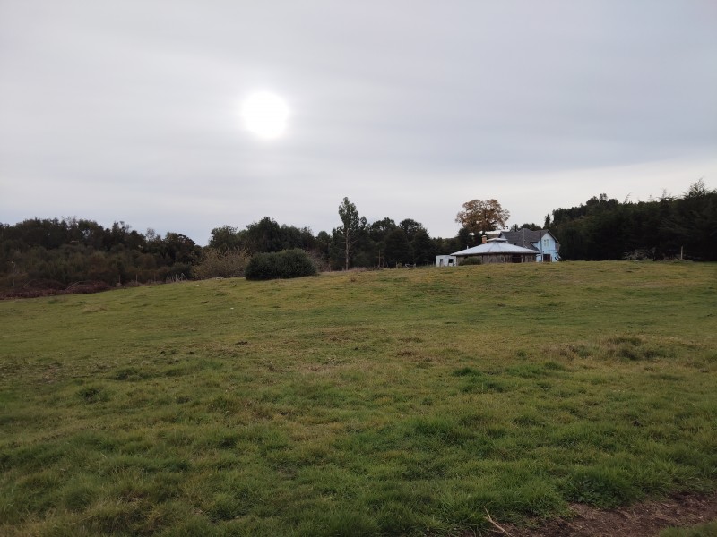 Se Vende 1 Hectárea Km 8 Curaco de Vélez-Chiloé A Pasos Ruta