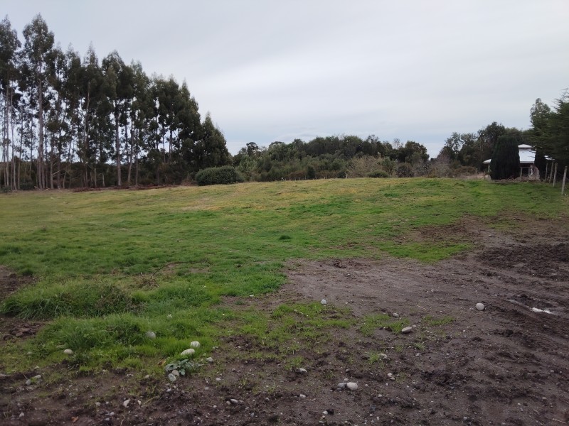 Se Vende 1 Hectárea Km 8 Curaco de Vélez-Chiloé A Pasos Ruta