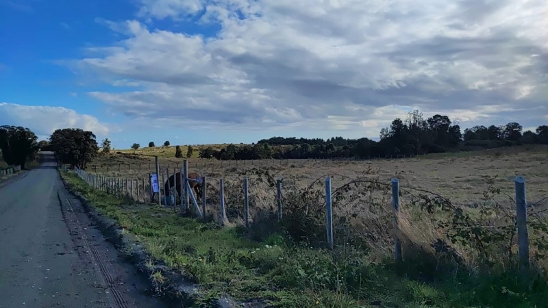 Se Vende Terreno 5000 Chullec Isla Quinchao