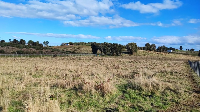 Se Vende Terreno 5000 Chullec Isla Quinchao
