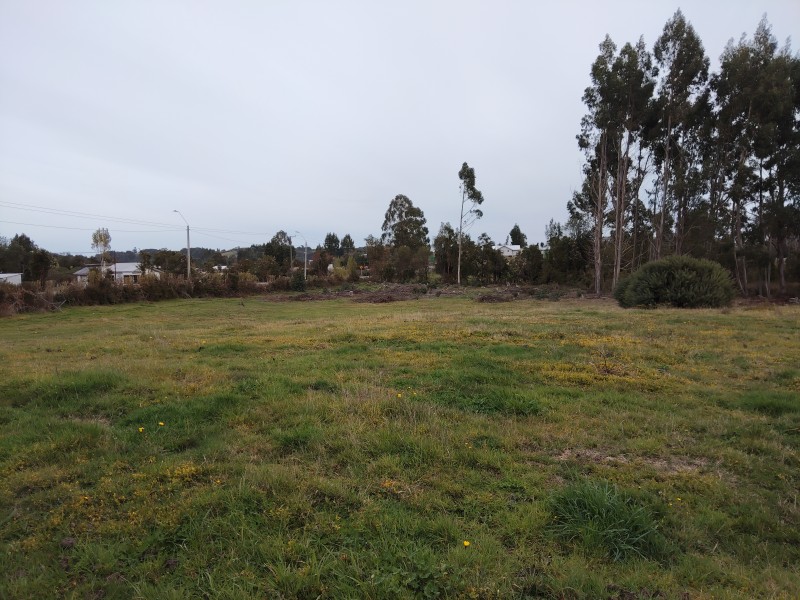 Se Vende 1 Hectárea Km 8 Curaco de Vélez-Chiloé A Pasos Ruta