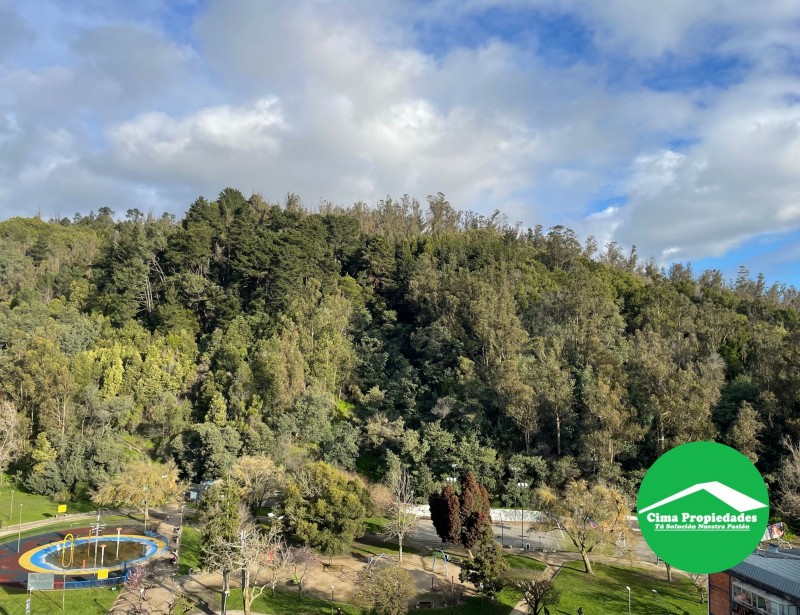 Venta Departamento Concepción, Amplio Balcón