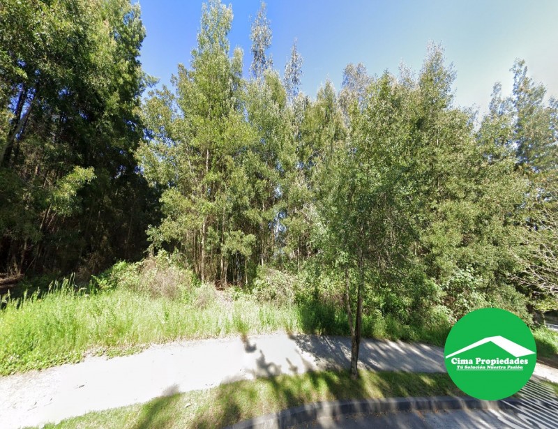 Terreno Inmejorable Ubicación en Acceso A Lonco Parque