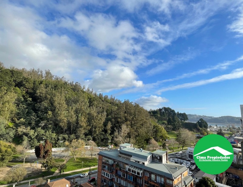 Venta Departamento Concepción, Amplio Balcón