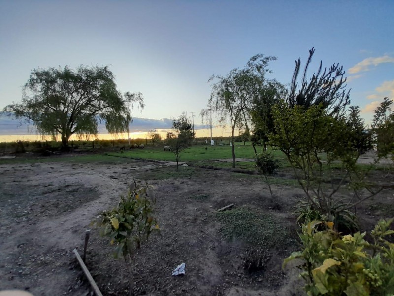 5.000 M2 Comuna de Retiro Región el Maule
