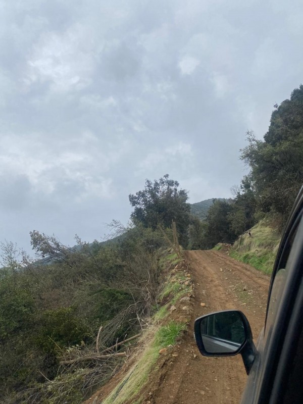 Proyecto Ecológico