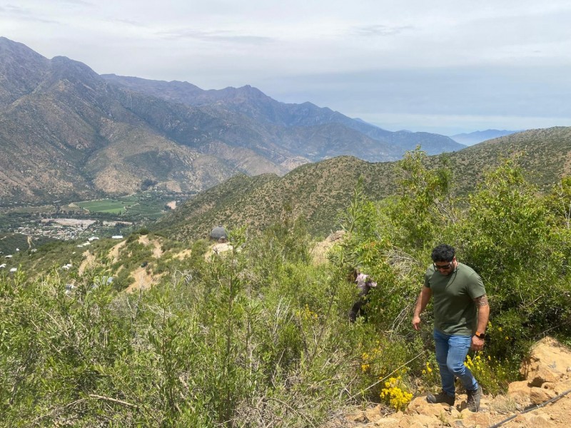 Proyecto Ecológico