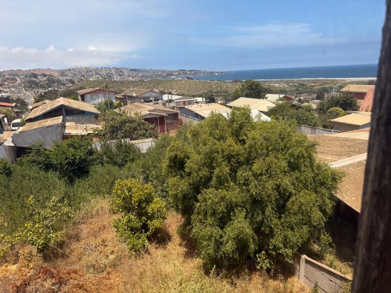 Amoblada, Oportunidad Inversión