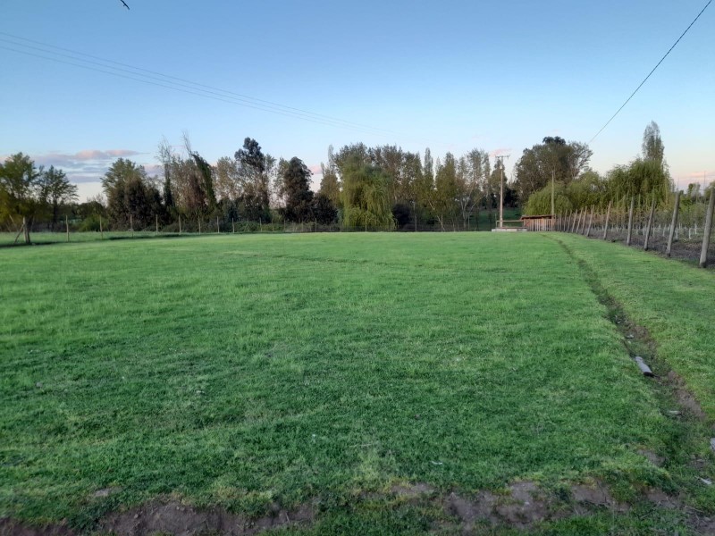 5.000 M2 Comuna de Retiro Región el Maule