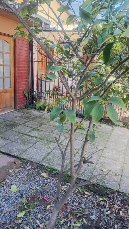 Casa Doña Ignacia I