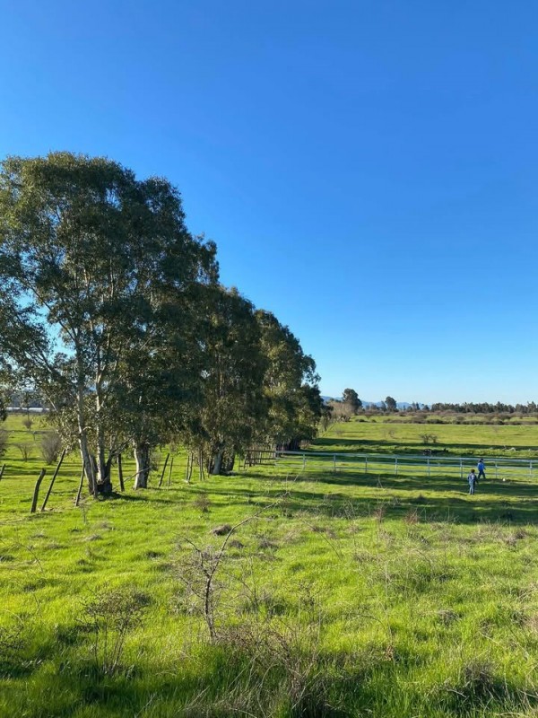 Parcela 500 M2 Sector Numpay Maule