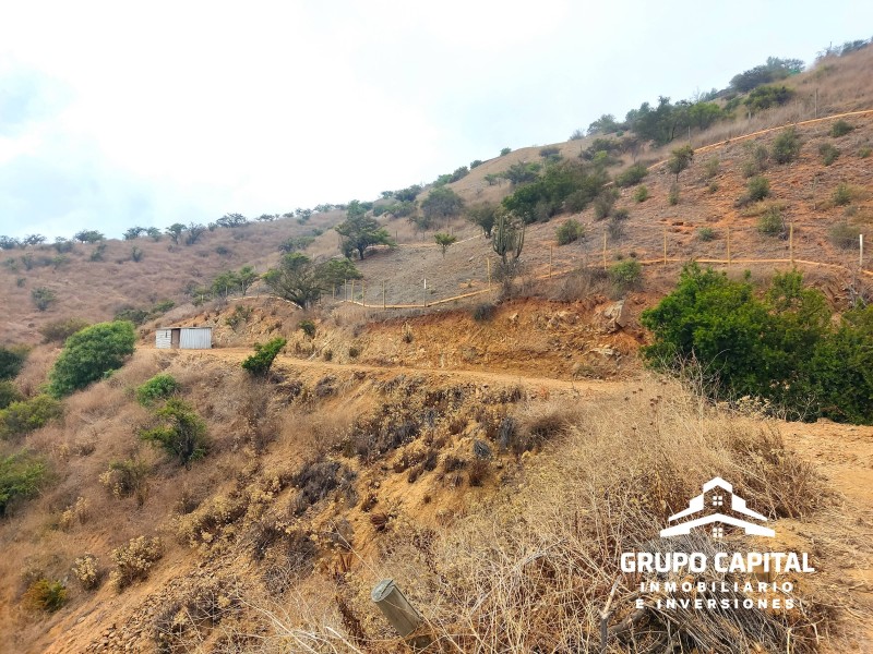 Parcelas 10.000 M² en Lomas del Cajón de San Pedro, Quillota