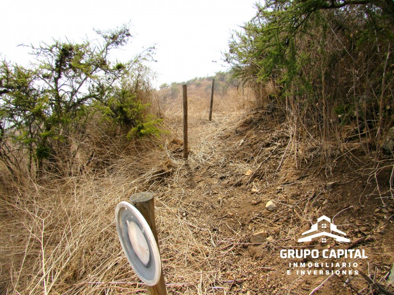 Parcelas 10.000 M² en Lomas del Cajón de San Pedro, Quillota
