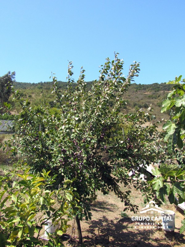Oferta!!! Casa Con Piscina en Altos Olivos de Pucalán