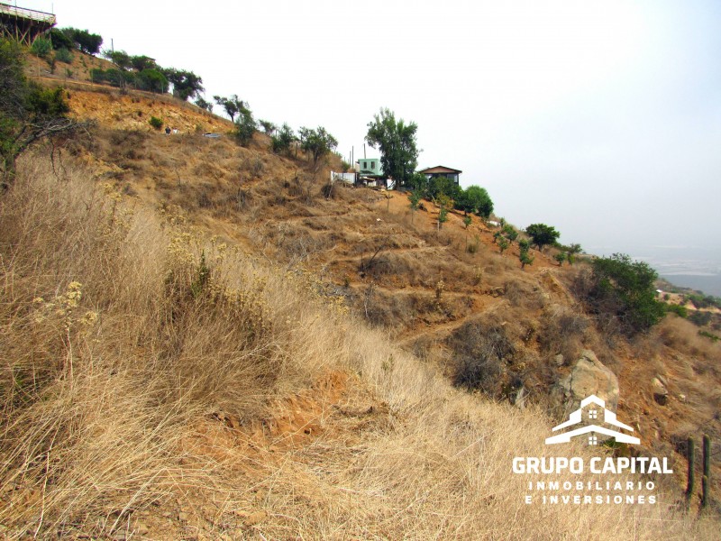 Parcelas 10.000 M² en Lomas del Cajón de San Pedro, Quillota