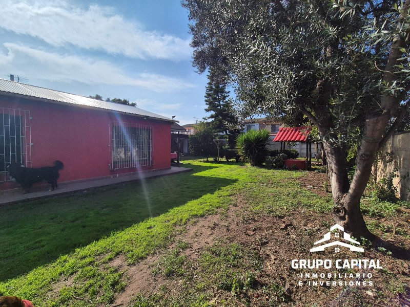 Casa Independiente en Terreno Amplio – Calle Alemania