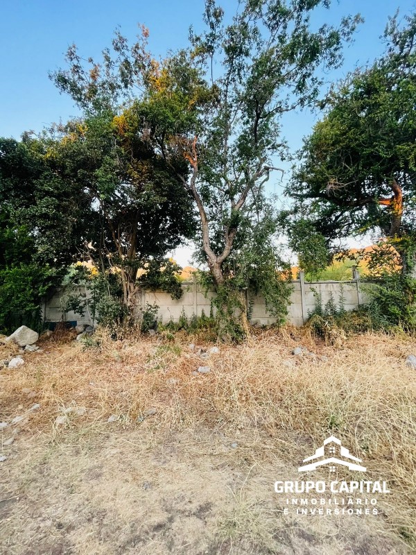 Terreno Central 1.329 M² en Olmué Con Rol