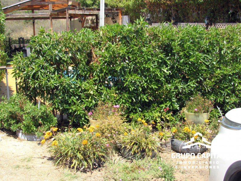 Oferta!!! Casa Con Piscina en Altos Olivos de Pucalán