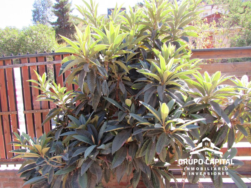 Parcela Con Casa, Piscina y Quincho A 5 Min de Limache