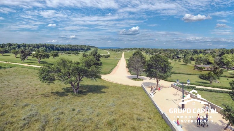 Parcelas Premium 5.000 M² | Country Zapallar