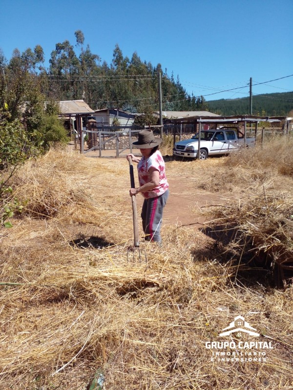 Terreno Productivo en Carrizal de Putú, Constitución