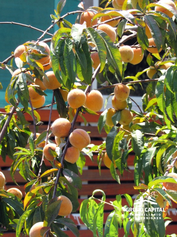 Oferta!!! Casa Con Piscina en Altos Olivos de Pucalán