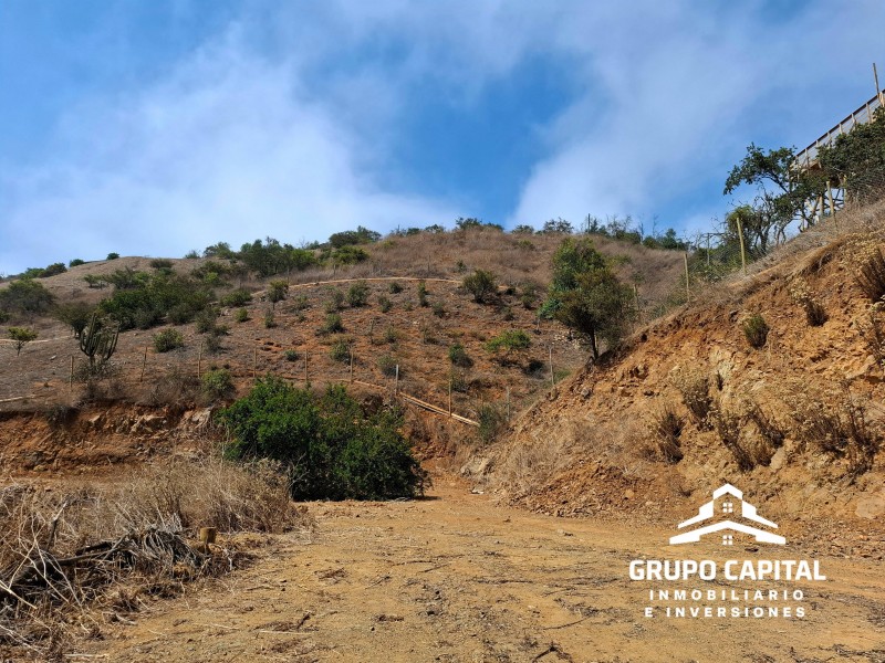 Parcelas 10.000 M² en Lomas del Cajón de San Pedro, Quillota