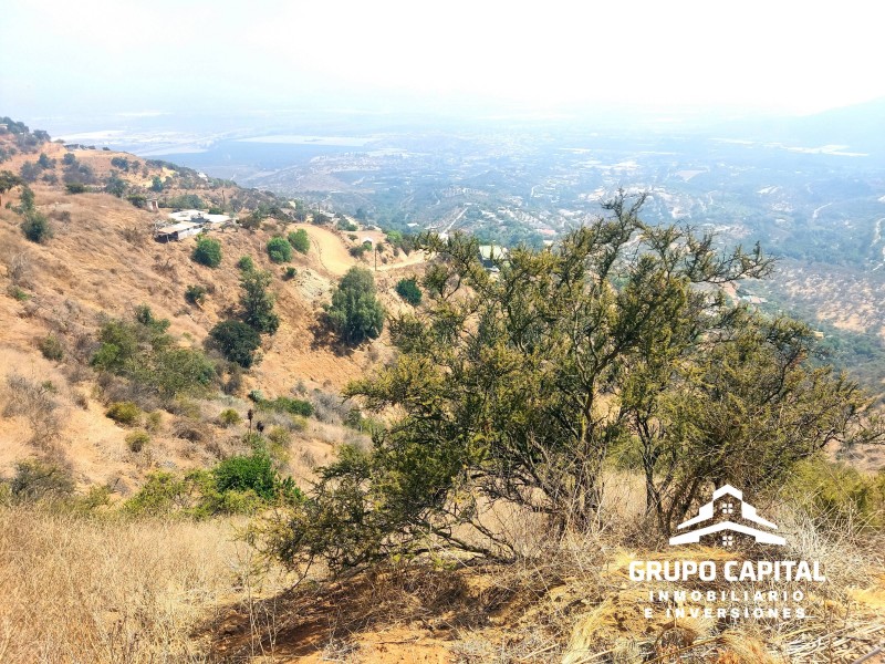 Parcelas 10.000 M² en Lomas del Cajón de San Pedro, Quillota