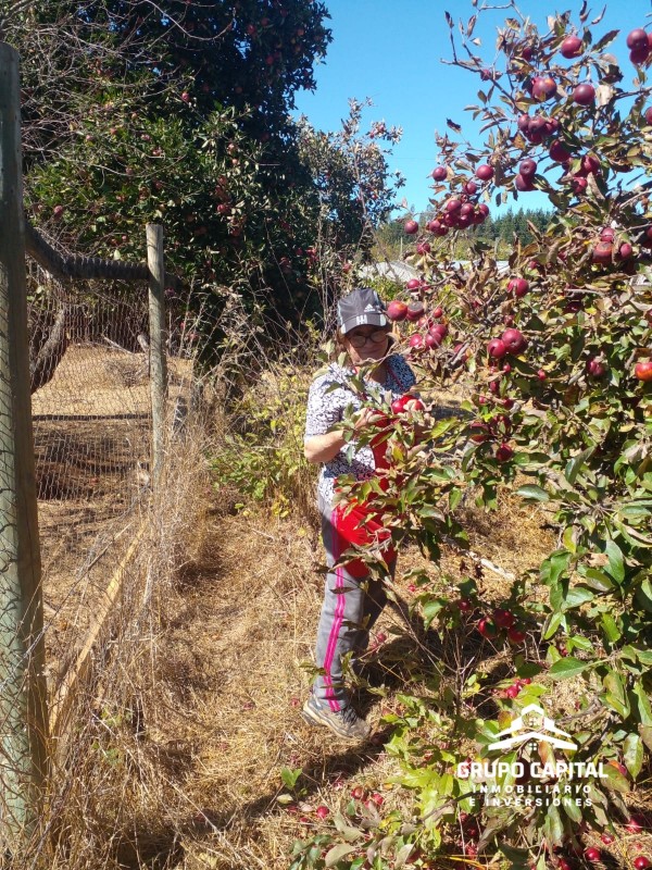 Terreno Productivo en Carrizal de Putú, Constitución