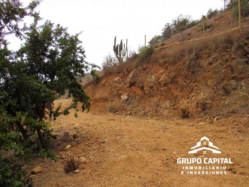 Parcelas 10.000 M² en Lomas del Cajón de San Pedro, Quillota