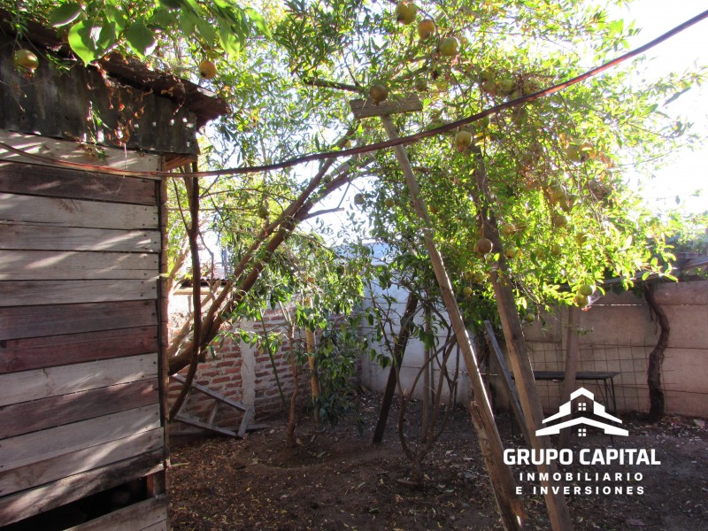 Casa Con Patio y Árboles Frutales en los Lúcumos, Quillota