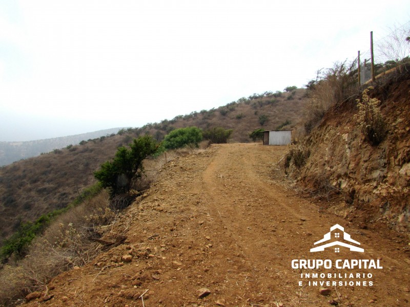 Parcelas 10.000 M² en Lomas del Cajón de San Pedro, Quillota