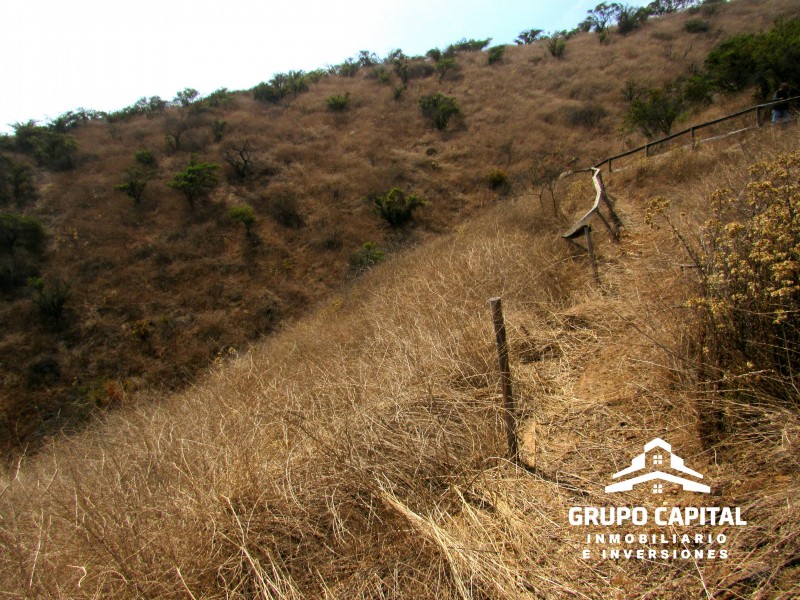 Parcelas 10.000 M² en Lomas del Cajón de San Pedro, Quillota