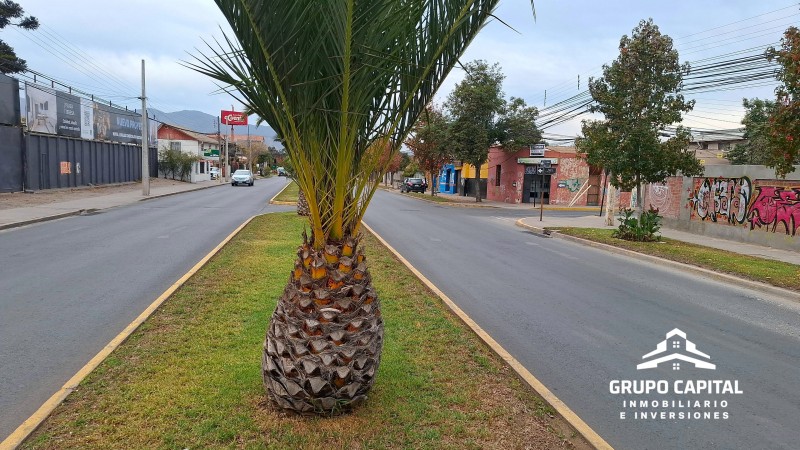Local Comercial Esquina Prime – Alto Flujo Quillota