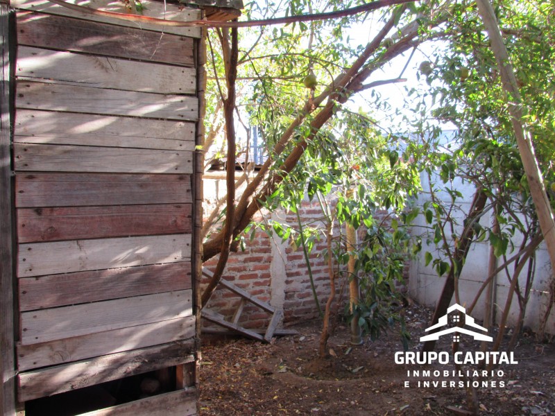 Casa Con Patio y Árboles Frutales en los Lúcumos, Quillota