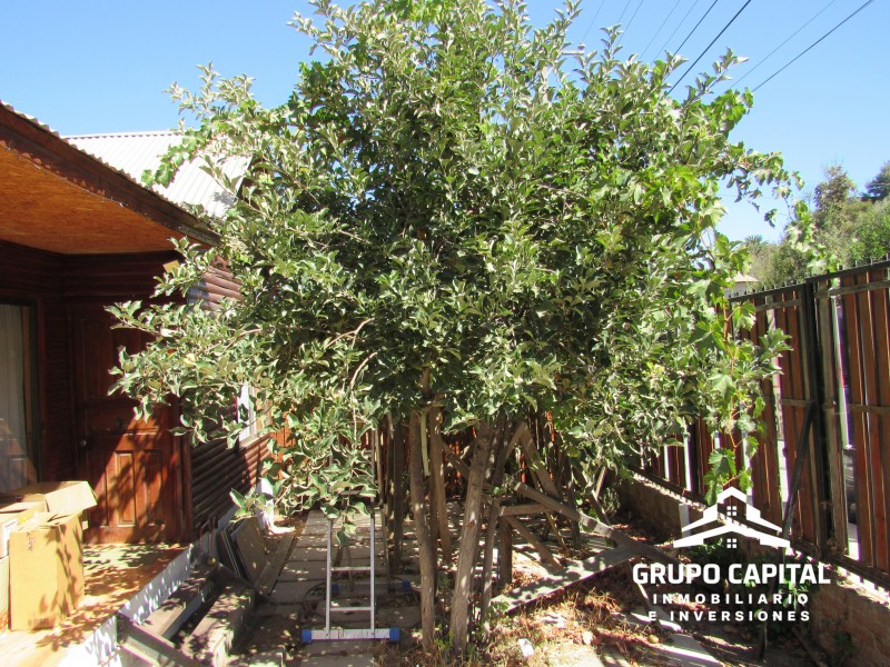 Parcela Con Casa, Piscina y Quincho A 5 Min de Limache