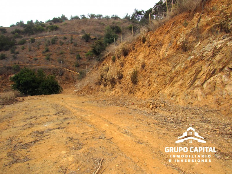 Parcelas 10.000 M² en Lomas del Cajón de San Pedro, Quillota